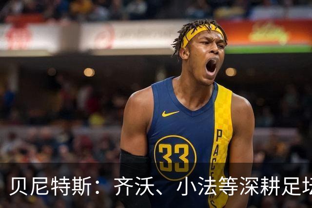 贝尼特斯：齐沃、小法等深耕足坛的人，就是意甲球队最可靠的底气